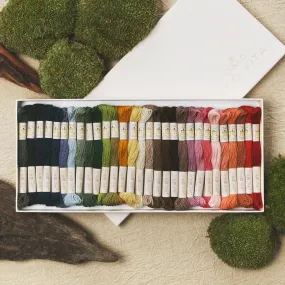 DMC Eco Vita Wool Collector's Box - 30 skeins